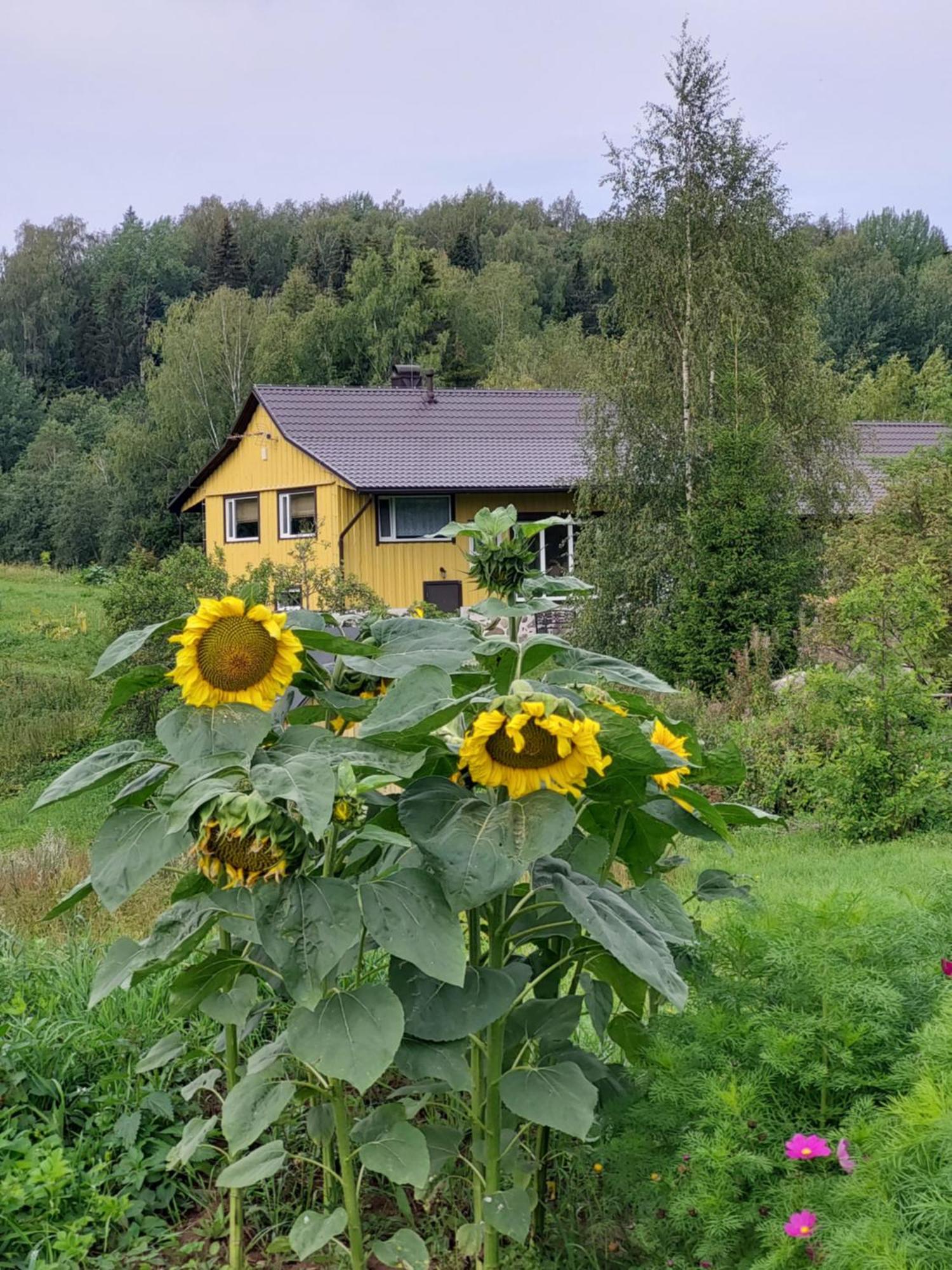 Отель Vakari Puhketalu Экстерьер фото